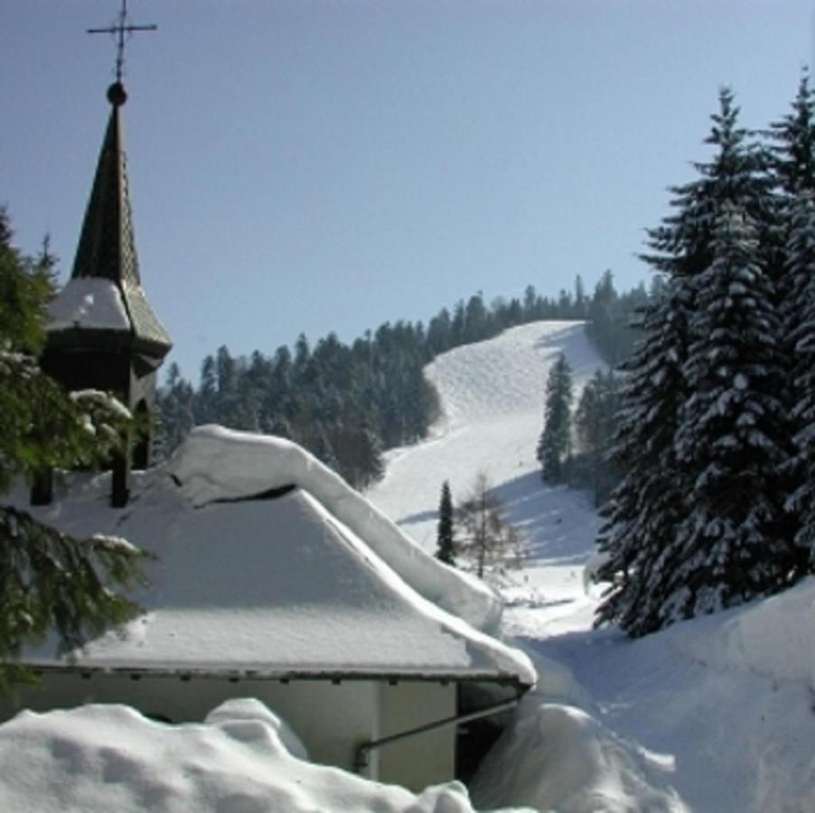 La Ferme du Douanier&Spa Ventron Extérieur photo