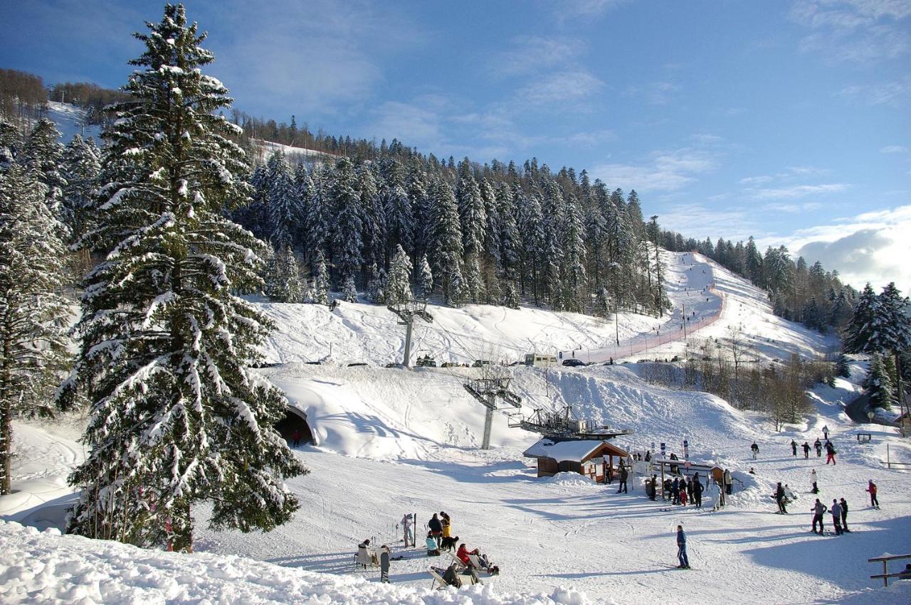 La Ferme du Douanier&Spa Ventron Extérieur photo